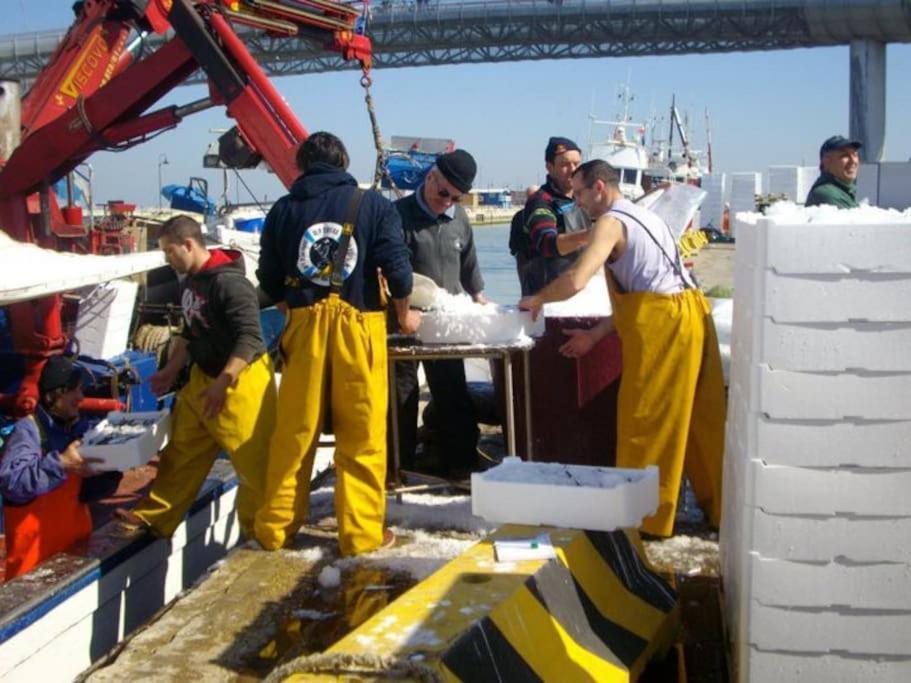 Casa Di Pipo - Appartamento Davanti Al Mare Pescara Extérieur photo